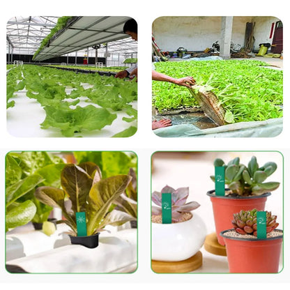 Hydroponic Basket 10pcs Plant Containers Grow Pots High Quality Round Shape Heavy Duty Net Cups Indoor and Outdoor Home Supplies