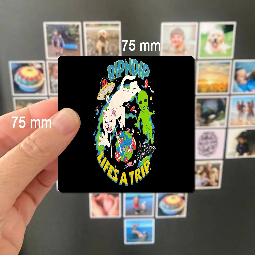 Cat R-Ripndips Fridge Photo Fridge Magnet Square Stickers Personalize Home Decor Souvenirs Gift