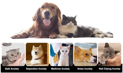 Pet Slow Feeding Mat Dog Silicone Lick Mat Slow Food Plate Dog Sucker Food Training Dog Feeder Supplies