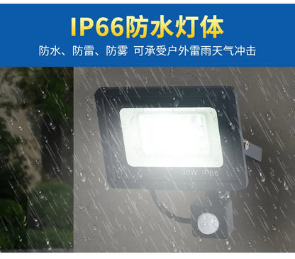 LED Floodlights 100W 50W 30W 20W 10W PIR Motion Sensor IP66 Waterproof LED 220V Hanging Exterior Outdoor Wall Lamp Spotlight