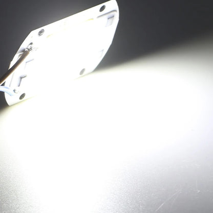 COB Chip LED Lamp 220V 10W 20W 30W 50W Smart IC No Need Driver Lampada LED Bulb Lamp For Flood Light Spotlight Diy Lighting