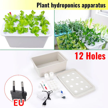12 Holes Plant Site Hydroponic System Garden Bubble Nursery Pots Planter System Indoor Cabinet Box Grow Kit Cultivation Box