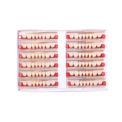 16/12 Sets/ Box Dental Teeth Anterior Posterior Polymer Denture acrylic Tooth A2 A3 2 Layers Dentistry Materials Education Model
