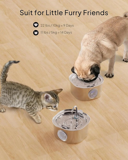 3.2L Auto Cat Fountain Pet Water Fountain for Cats Stainless Steel Cat Drinker Visual Window Drinking Bowl Pet Accessories