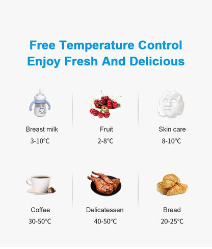 6L Mini Car Refrigerator 12V DC 220V AC Electric Portable Beauty Cooler Warmer Car Mini Fridge Ice Box for Home Camping Travel