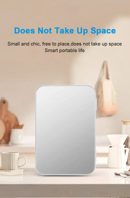 6L Mini Car Refrigerator 12V DC 220V AC Electric Portable Beauty Cooler Warmer Car Mini Fridge Ice Box for Home Camping Travel