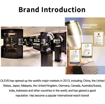 OLEVS brand watch Xianglong relief fully automatic mechanical watch men's watch men's watch 6693