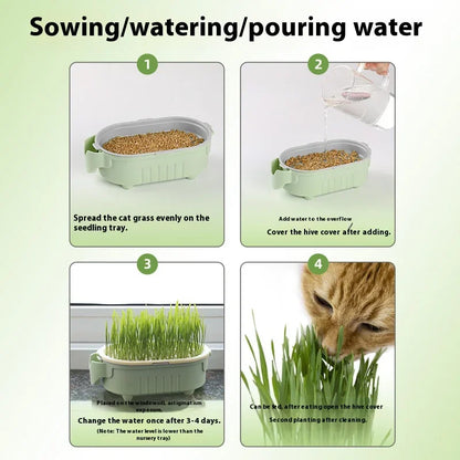 Hydroponic Natural Cat Grass Growing Kit-Organic Wheat Grass Seeds For Digestive Health & Hairball Control,With Potting Soil Set