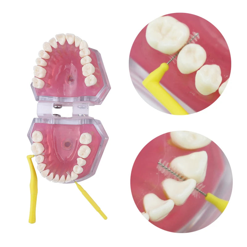 Dental Cleaning Care Kits Portable Travel Oral Cleaning Kits Detachable Toothbrush Interdental Brush Tongue Scraper Storage Case