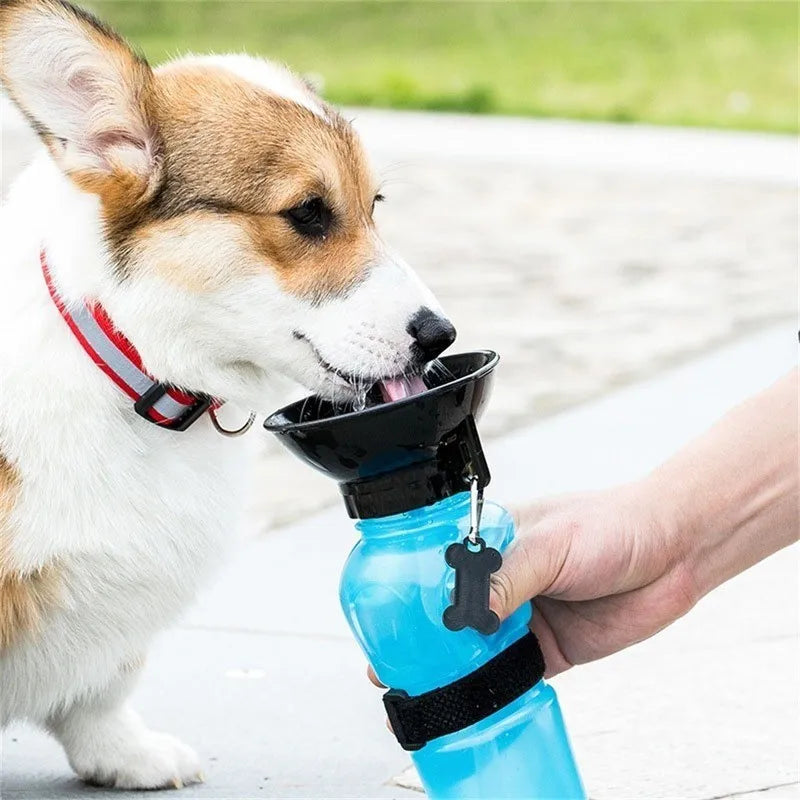 Portable Dog Water Bottle, Drink Cup & Bowl The Perfect Accessory for Outdoor Walks and Adventures with Your Pet!