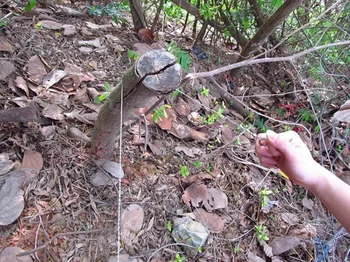 1pcs Outdoor Tools Hand Chain Saw Survival Fretsaw Chain Saw Practical Emergency Steel Wire Saw Camping Hunting Kits Pocket Gear