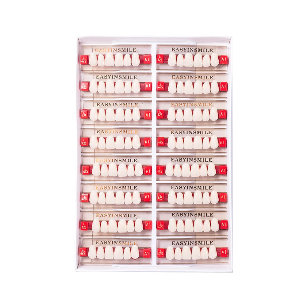 16/12 Sets/ Box Dental Teeth Anterior Posterior Polymer Denture acrylic Tooth A2 A3 2 Layers Dentistry Materials Education Model