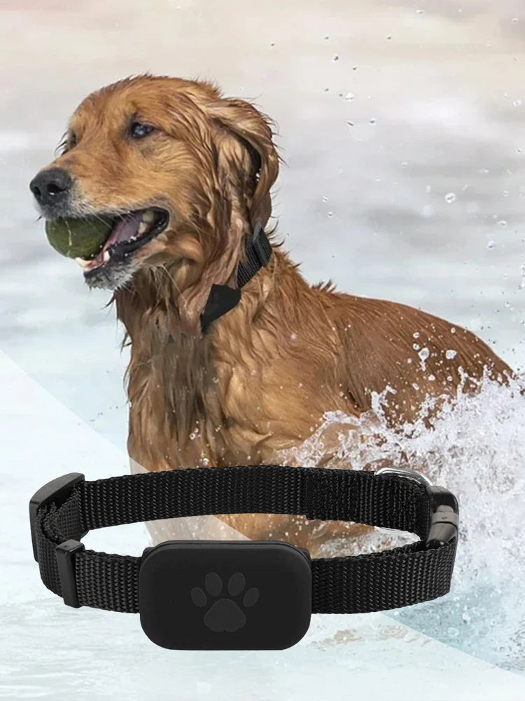 Pet GPS Tracker with Adjustable Collar Smart Pet Locator Cat Tracker for Dogs & Cats