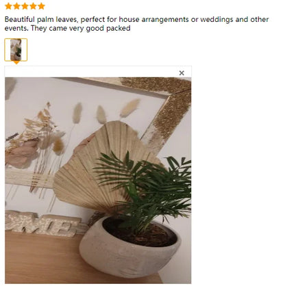 4 Pieces Palm Leaves Home Furnishing Palm Leaves Perfect For Palm Leaf Decor, Boho Decor, Home Decor, Wedding