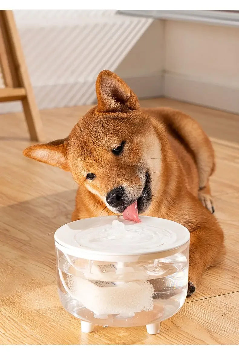 1L USB Electric Mute Pet Water Fountain Automatic Cat Drinking Bowl Filter Quiet Dispenser with Carbon Filter for Fresh Water