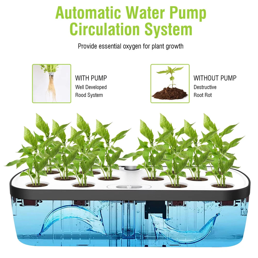 6 Holes Hydroponics Growing System Indoor Soilless Vegetable Fruit Herb Planter with LED Grow Light Smarts Water Pump Automatic