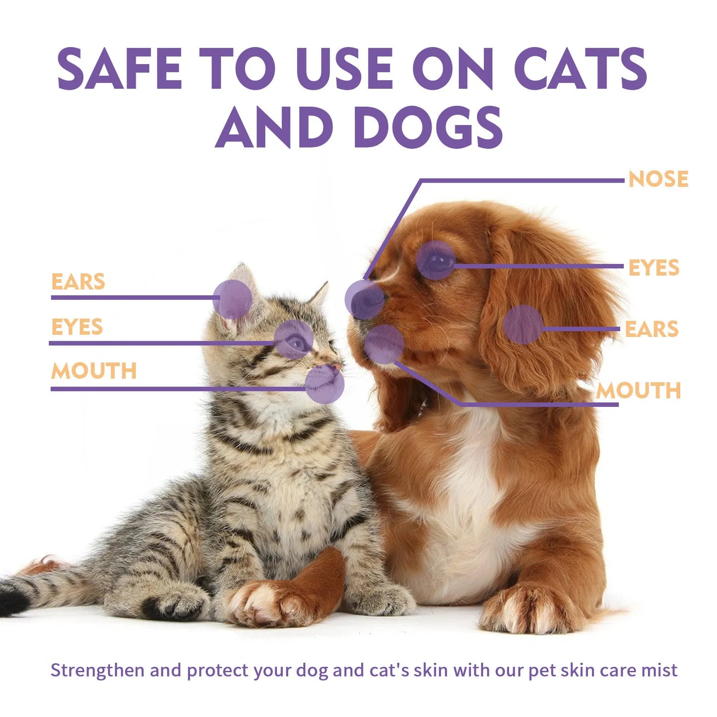 60ml Pet Skin Itching Spray Antimicrobial No Alcohol Removing Mites And Relieving Cleaning Care Supplies For Dogs And Cats