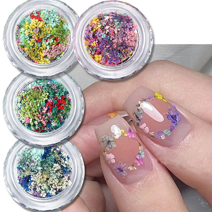 1 Box Nail Art Flower Decoration Delicate Dried Flower Nail Art Decorations Exquisite Nail Art Beauty For Charms Accessories