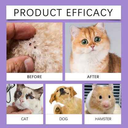 Pet Flea Tick Mites Repellent Shooting Spray with Natural Ingredients Essential Oils for Dogs and Cats External Insect Remover