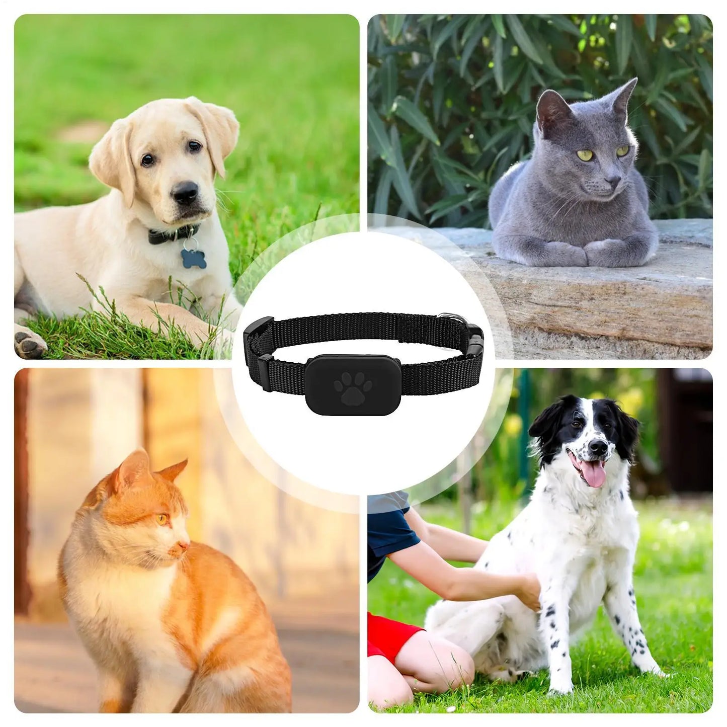 Cat Trackers GPS Cat Trackers Collar Pet Kitten GPS Collar Multifunctional Pet Smart GPS Trackers Pets Accessories For Dog Cat