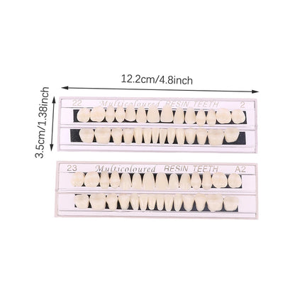 Dental Material Teeth Teaching Model Dedicated Teeth Dental Material Teeth Care Tool Dental Oral Material