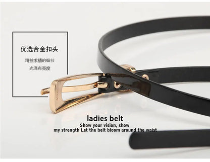 Leopard Print Belts for Woman Thin PU Belts Skirts Coat Decorative Waistbands Ladies Fashion Apparel Accessories Summer 2023 New