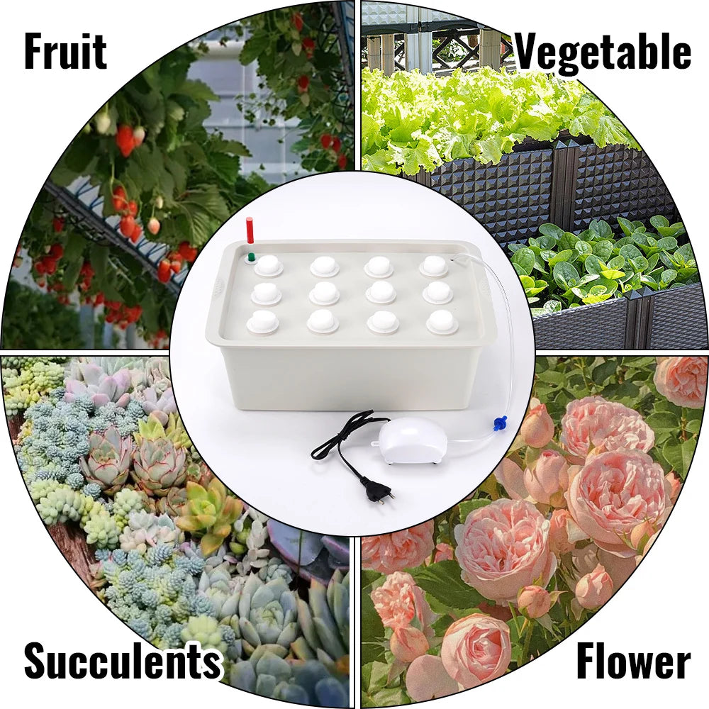 12 Holes Plant Site Hydroponic Garden Pots Planter System Cabinet Box Grow Kit Bubble Nursery Pot Indoor Outdoor Cultivation Box