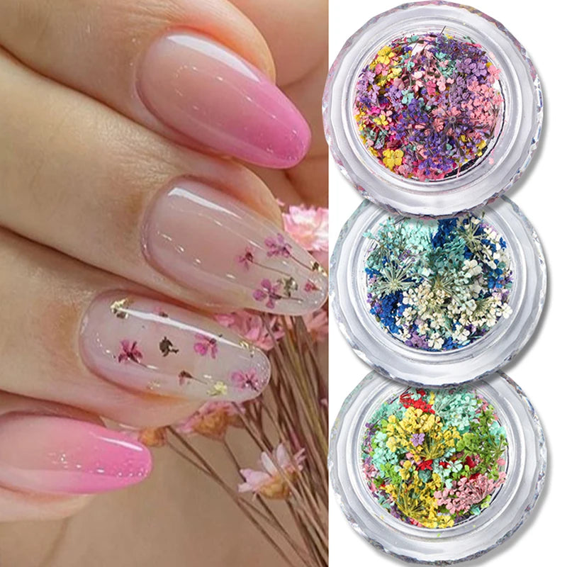 1 Box Nail Art Flower Decoration Delicate Dried Flower Nail Art Decorations Exquisite Nail Art Beauty For Charms Accessories