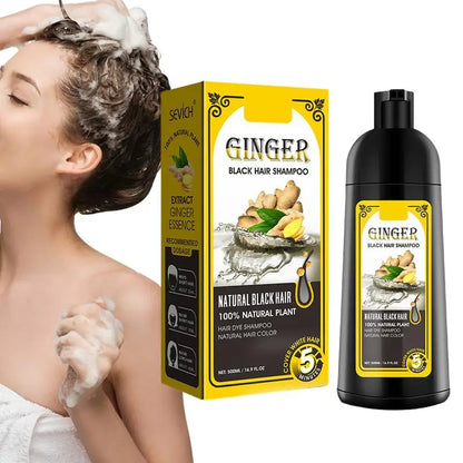 500ml Herbal Hair Dye Black Hair Shampoo Black Hair Color Shampoo Black Hair Dye Covering White Hair Shampoo ginger Shampoo