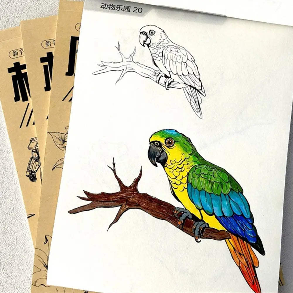 Art Supplies Novice Hand Drawn Tutorial Studying Tracing Line Draft Book Sketch Zero Basic Drawing Copy Book Student