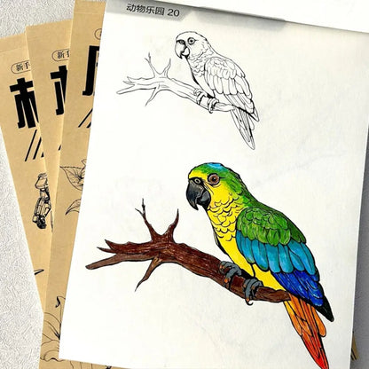 Art Supplies Novice Hand Drawn Tutorial Studying Tracing Line Draft Book Sketch Zero Basic Drawing Copy Book Student