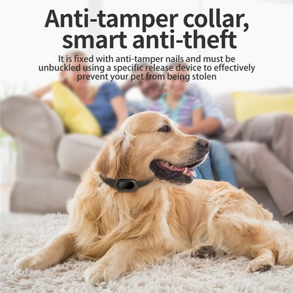 3C Electron 4G GPS Pet Tracker Pet Dog Cats Gps Anti Loss Mini Tracker Mini Tracker American Version,4G GPS Pet Tracker Pet Dog