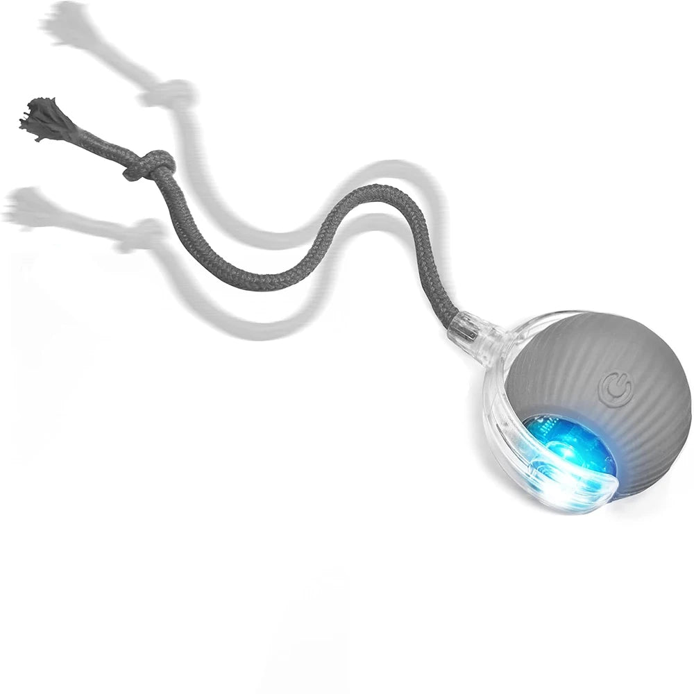 Interactive Cat Ball Toys Active Rolling Ball for Cats Smart Interactive Cat Toys Electric Cat Toy Ball Rechargeable Pet Toys