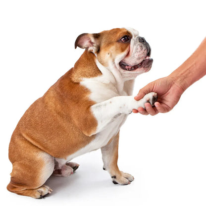 Pet Paw Cleaner Paw Plunger Soft Silicone Foot Cleaning Foot Wash Cup Portable Cats Dogs Paw Clean Brush Home Pet Supplies