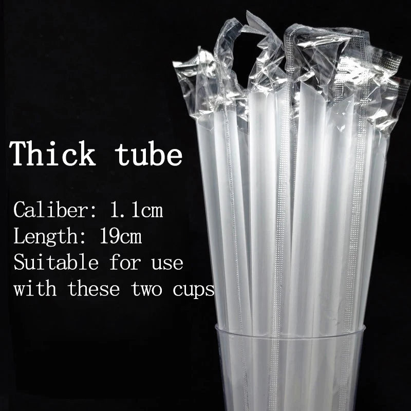 100Sets 12/16OZ Plastic Cups with Lids Clear Disposable Cups Straw for Parties Iced Coffee Smoothie  Milkshake Cold Drinks