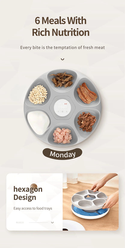 6 Meals Automatic Pet Feeder Smart Cat Food Dispenser For Wet & Dry Food Kibble Dispenser Accessories