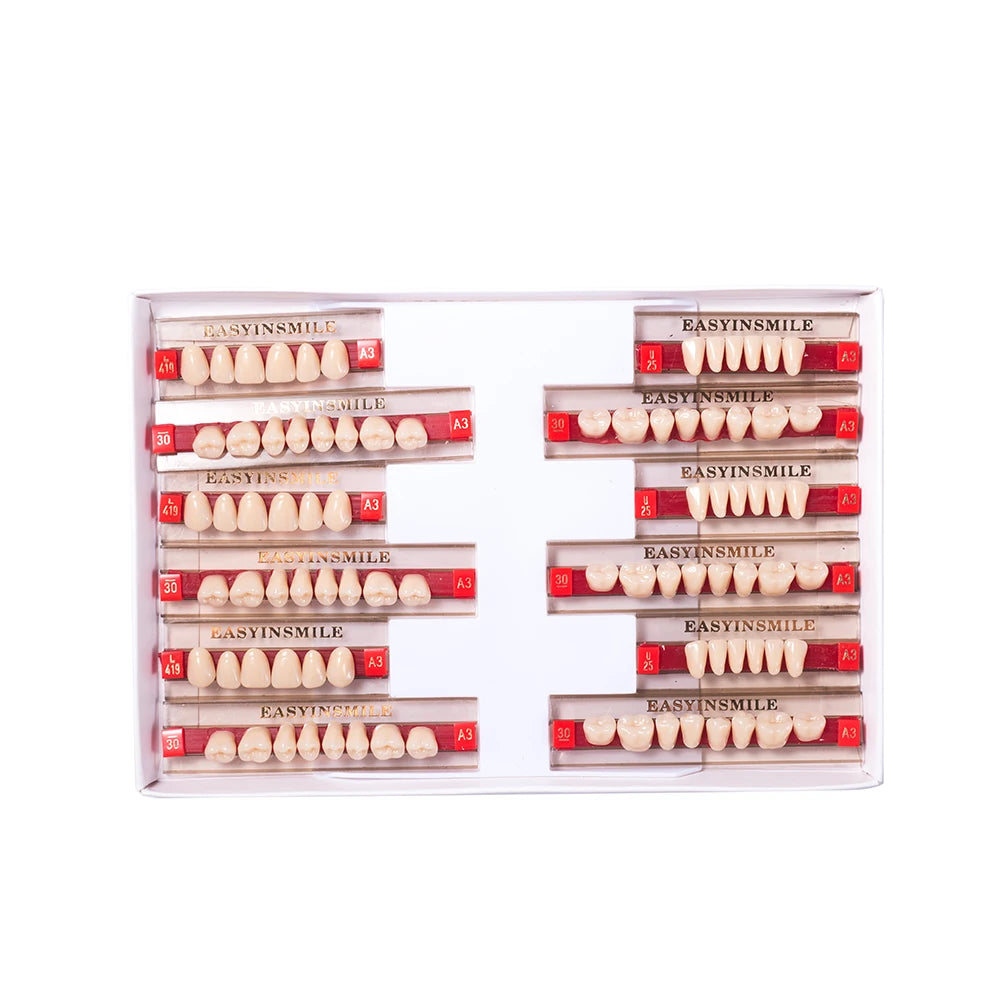 16/12 Sets/ Box Dental Teeth Anterior Posterior Polymer Denture acrylic Tooth A2 A3 2 Layers Dentistry Materials Education Model