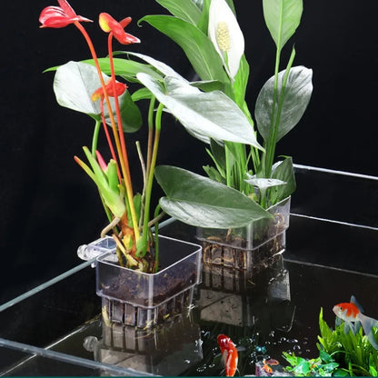Fish Aquarium Water Grass Cup Multiple Plant Hydroponics Hydroponic Planting Basket For Fish Tank Landscape Home Garden