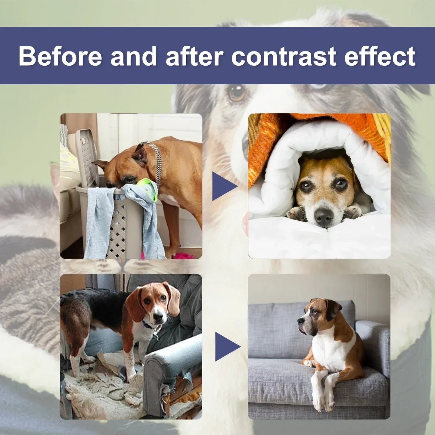 Bitter Taste Pet Anti-Chew Spray 50ML Strong Deterrent Spray to Prevent Chewing Furniture Legs Scratching Sofas Effective Dog