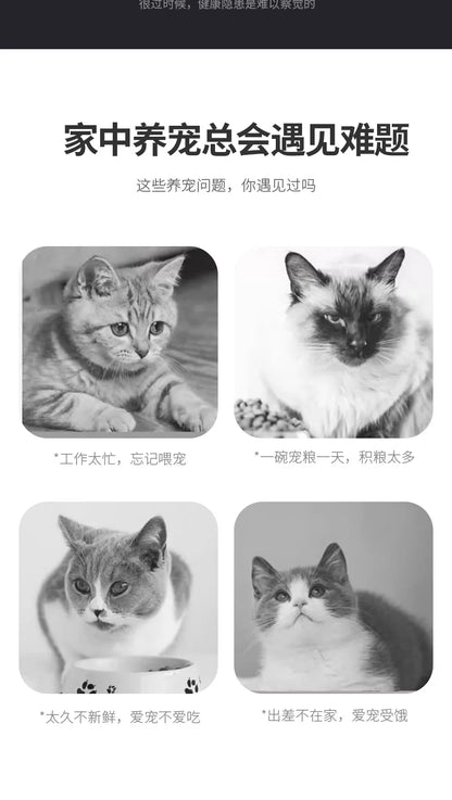 Cat water dispenser, dog drinking water, pet automatic feeder, dog feeding water, cat water bowl artifact