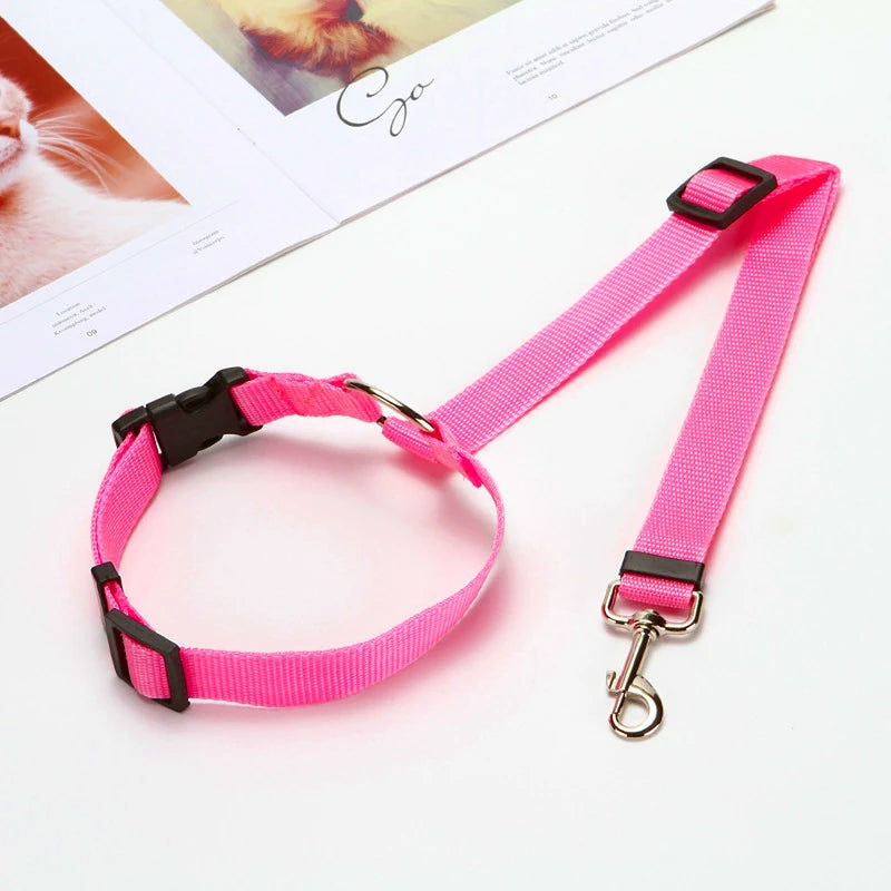 Secure Your Pet in the Car with This Adjustable Harness & Seat Belt Lead Leash!
