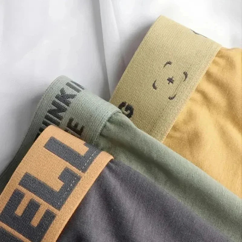 Random 10Pcs Men's Underwear Men Panties Sexy  Breathable Comfortable Boxer Shorts Slim Loose Fit Athleisure Briefs  Underpants