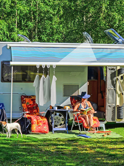 10Pcs Sturdy Awning Hooks for RV S Shaped Camping Awning Hooks Metal Party Light Hangers Hats Outdoor Camper Hanging Accessories