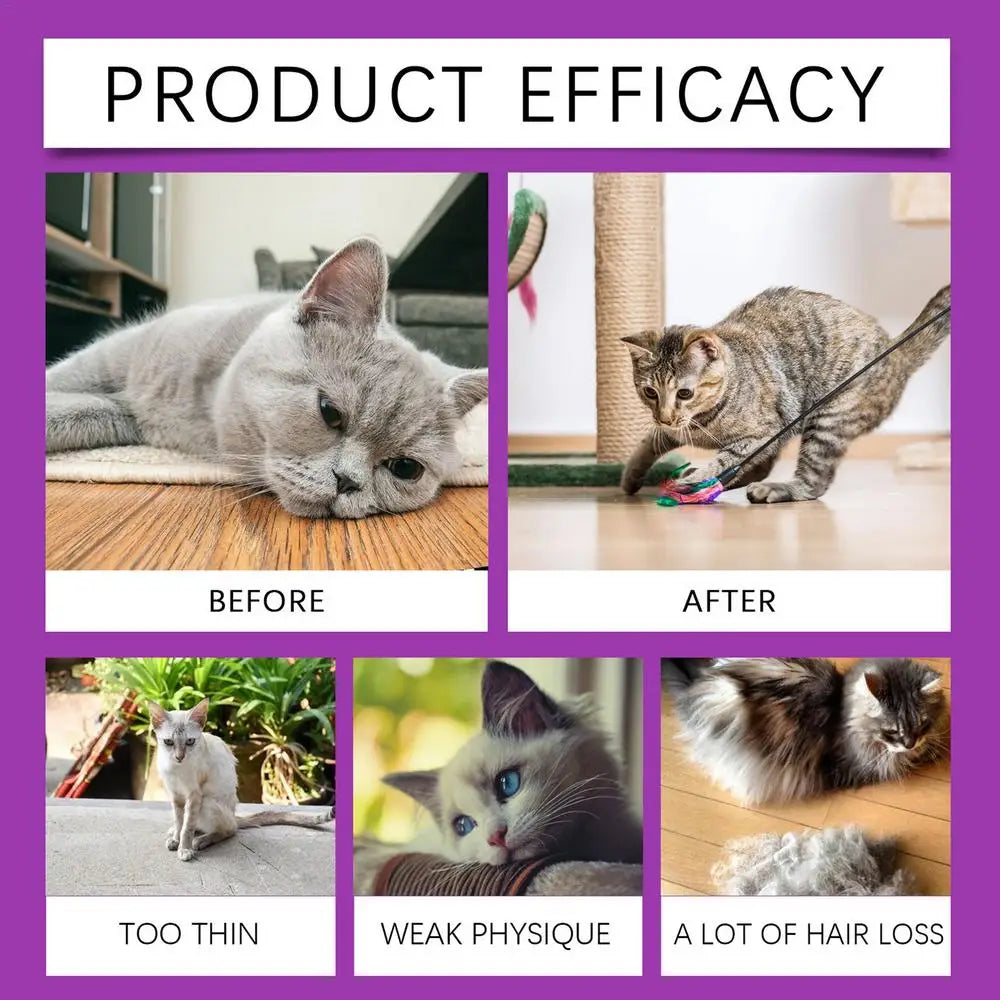 Cat Supplement All-in-1 Multi Liquid Body Care Drops Daily Supplement 60ml Body Care Drops For Supports Joint Care Skin & Coat