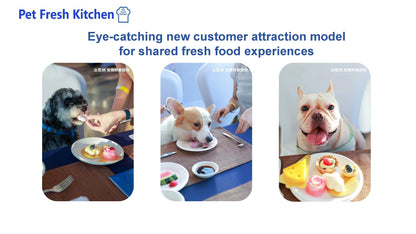 Pet Food Processor For Furry Friends-premium Bowls & Feeders White Silk Screen Smart Automatic Pet Feeder