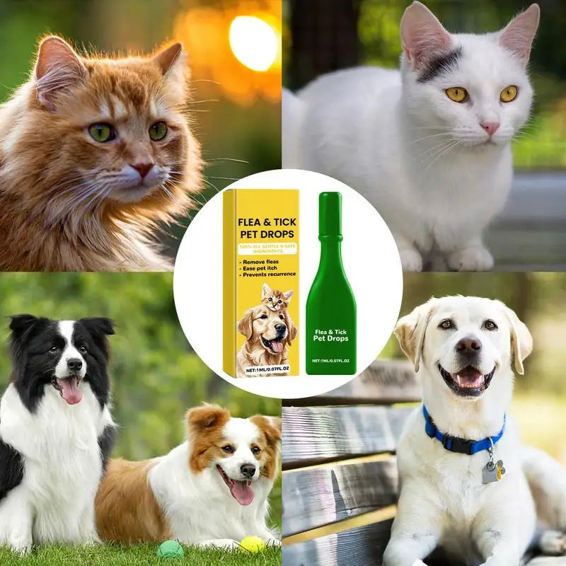 1ml Pet External Drops Tick Spray Fast-Acting Lice Remove Anti Flea Drops Tick Liquid Long Lasting Natural Pet Care Spray