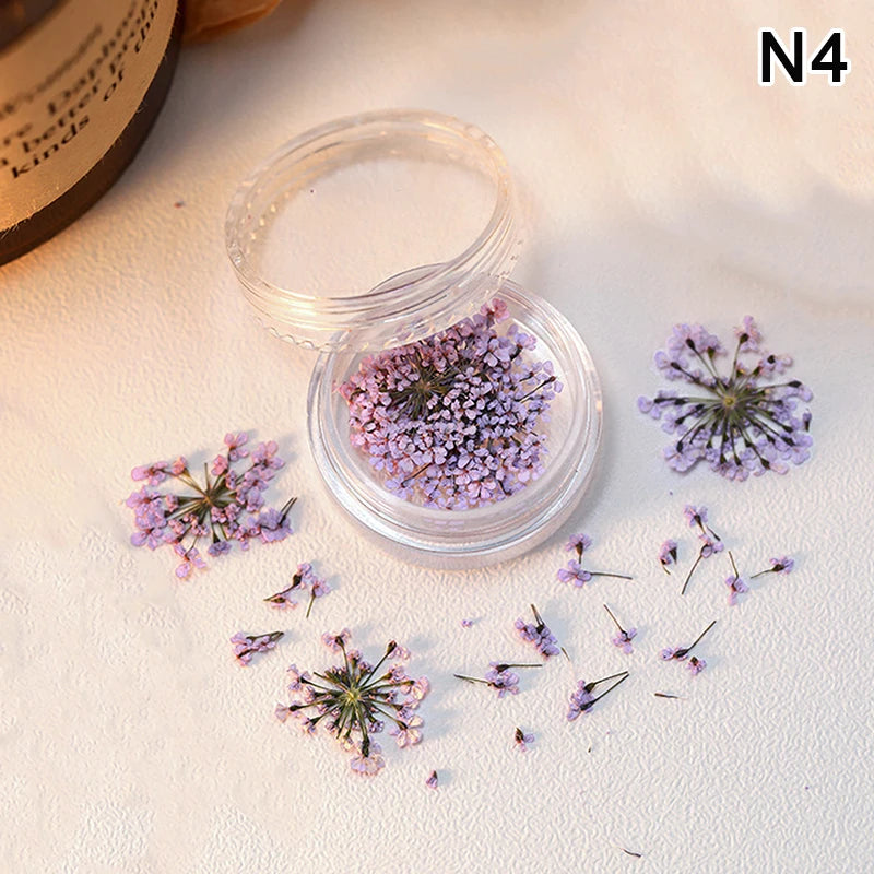 1 Box Nail Art Flower Decoration Delicate Dried Flower Nail Art Decorations Exquisite Nail Art Beauty For Charms Accessories