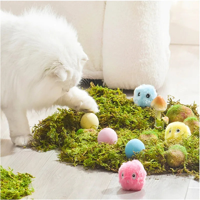 Cat Toys Balls Sound Frogs Birds Chirping Crickets EVA Balls Rolling Cat Plush Soft Self-Heeling Teaser Toys Pet Accessories