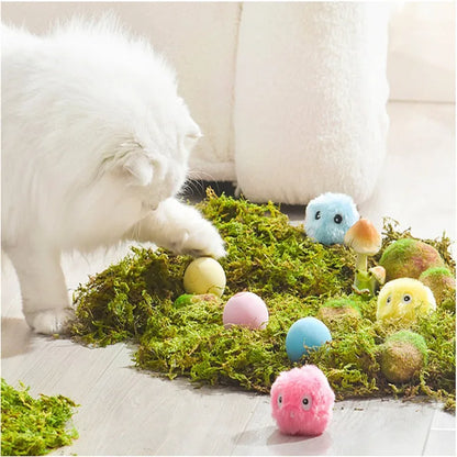 Cat Toys Balls Sound Frogs Birds Chirping Crickets EVA Balls Rolling Cat Plush Soft Self-Heeling Teaser Toys Pet Accessories