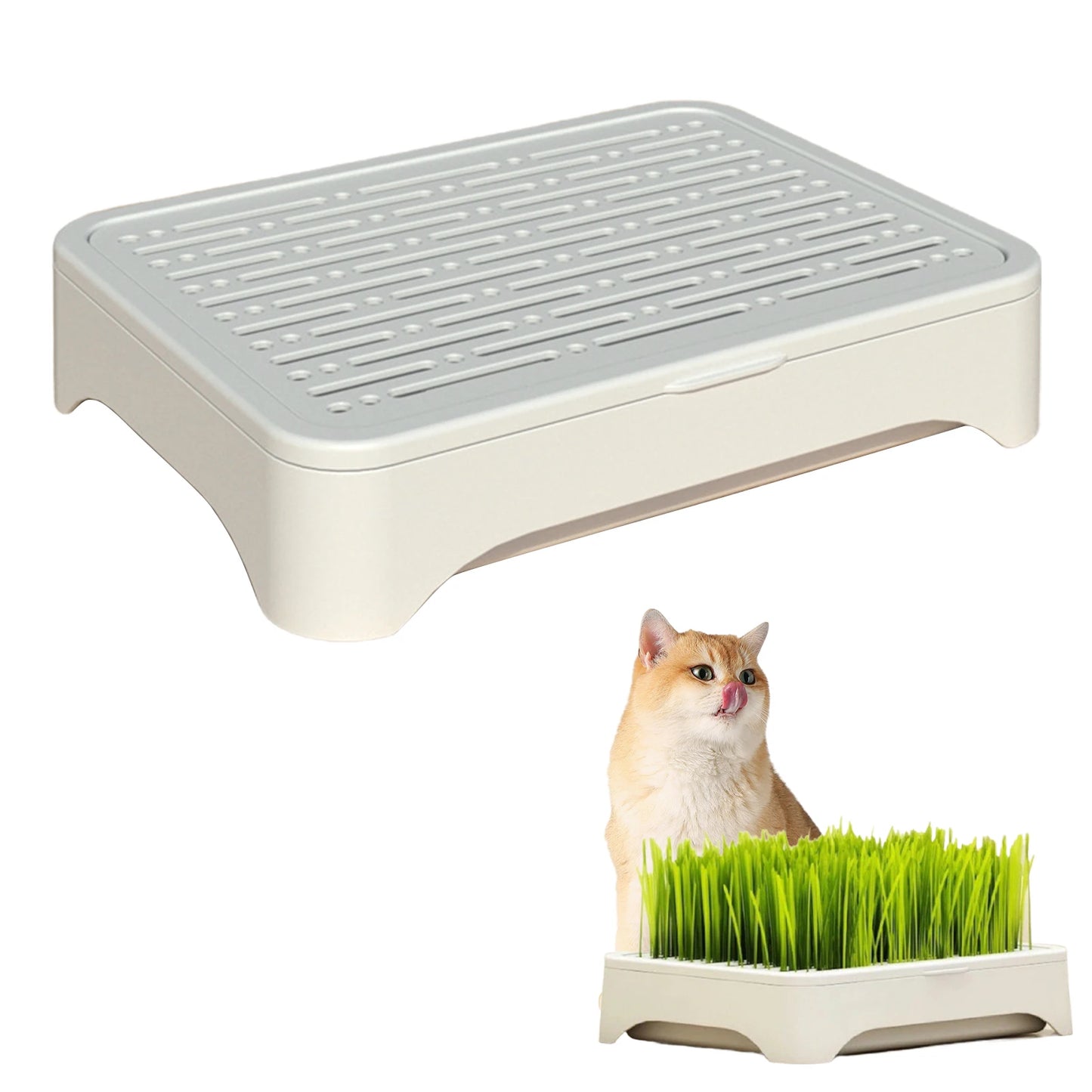 Hydroponic Growth System Pet Cat Grass Nursery Pot Growth Planting Assistant  Reusable Multifunctional Gardening Supplies